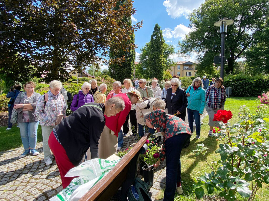 Eine Rose für den eigenen Garten